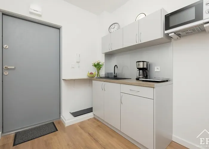 Antek Nad Morzem دجيفنوفيك