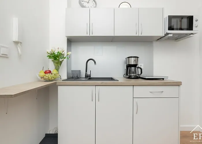 Antek Nad Morzem دجيفنوفيك